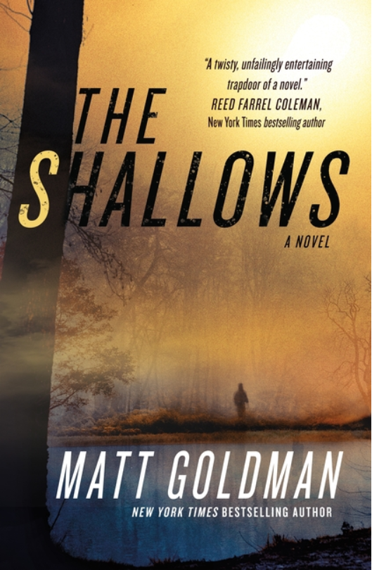 The Shallows: A Nils Shapiro Novel (Nils Shapiro #3)