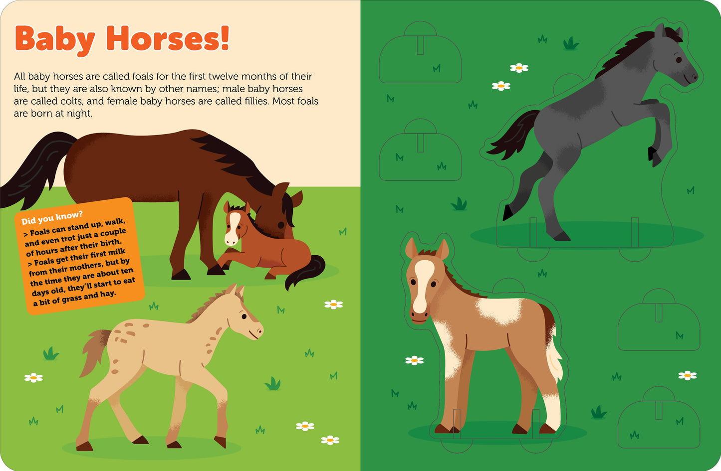 Pop Out Horses