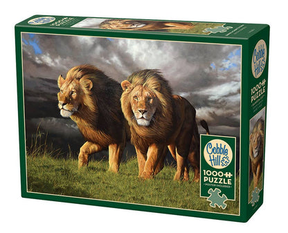 Approaching Storm 1000pc puzzle