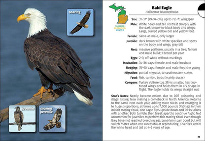Birds of Michigan Field Guide 3e