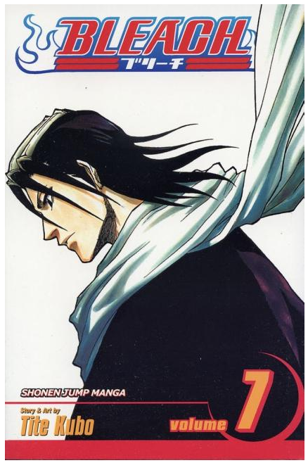 Bleach, Vol. 7: The Broken Coda