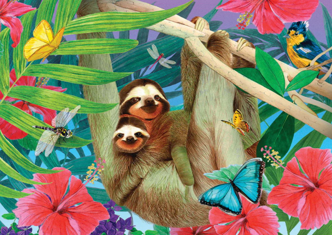 Sweet Sloths | 1000 Piece