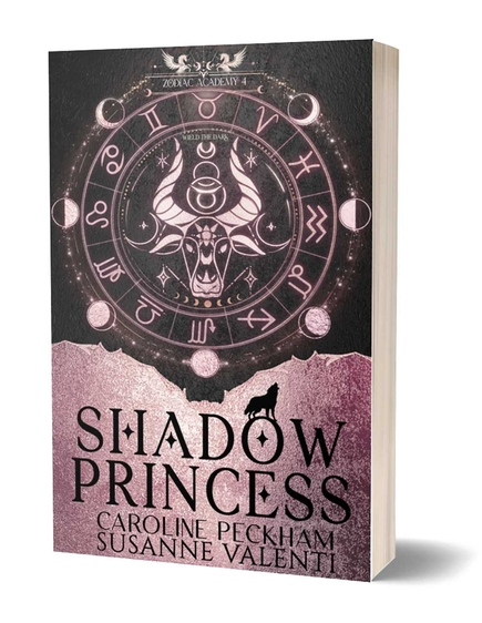 Zodiac Academy 4: Shadow Princess