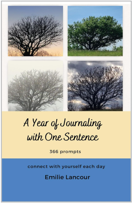 A Year of Journaling with One Sentence