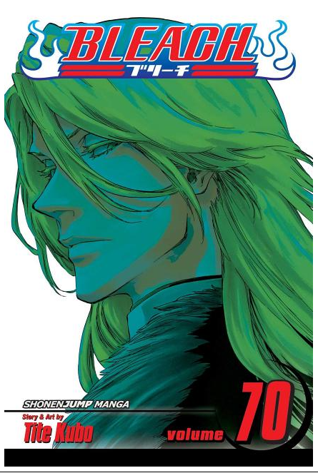 Bleach, Vol. 70: Friend