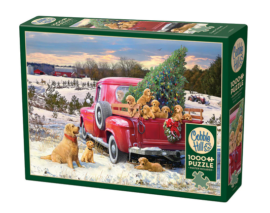 Family Outing 1000 pc Puzzle