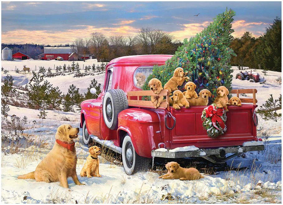 Family Outing 1000 pc Puzzle