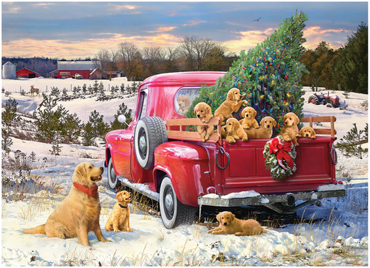 Family Outing 1000 pc Puzzle