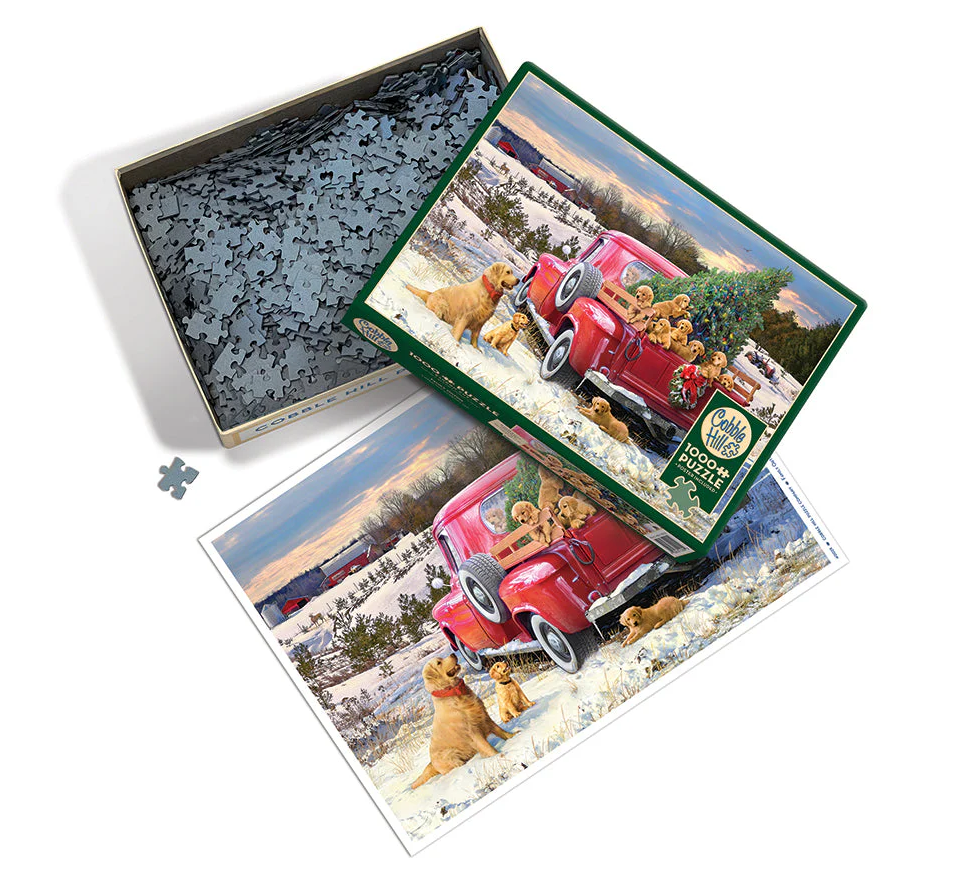 Family Outing 1000 pc Puzzle