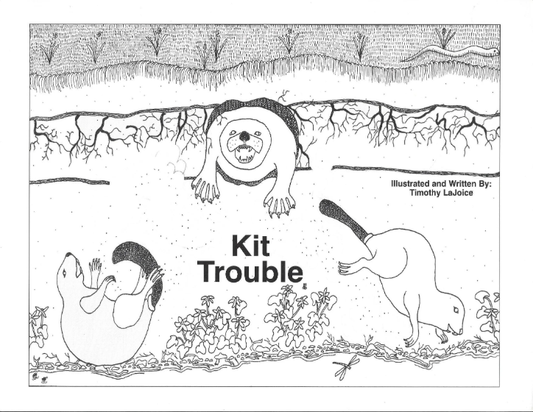 Kit Trouble Hardcover Book - W/ Coloring Book