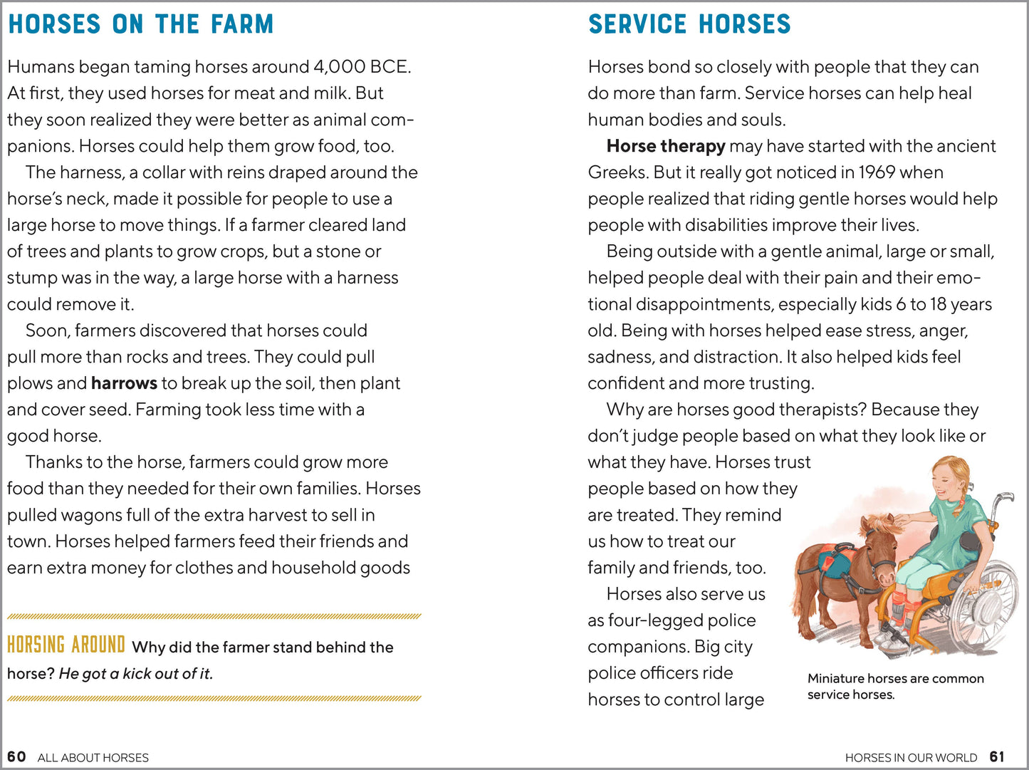 All About Horses