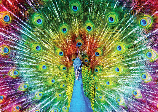Colorful Peacock 1000pc Enjoy Puzzle