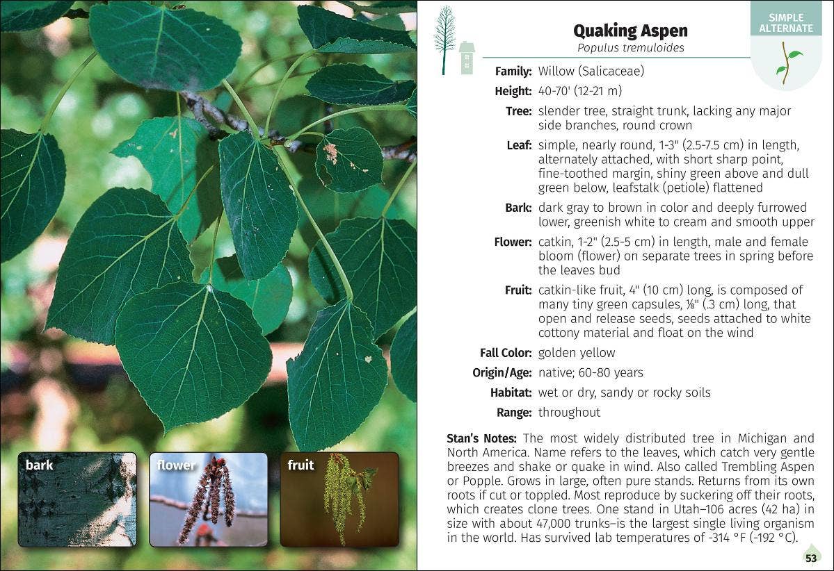 Trees of Michigan Field Guide 2e