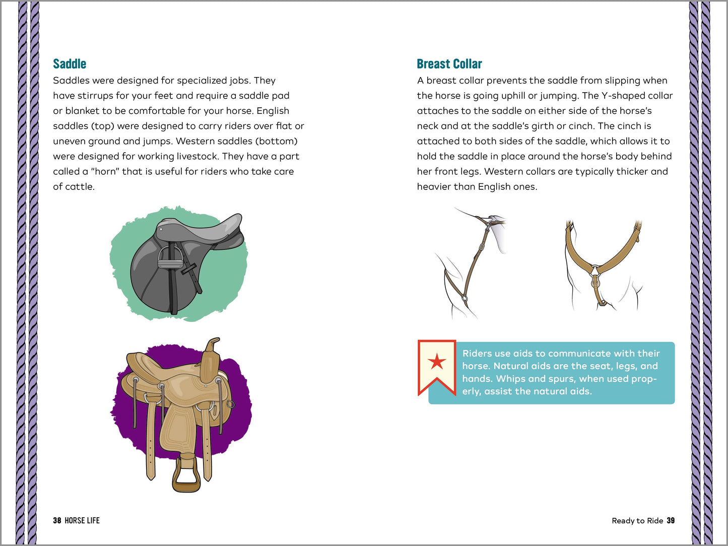 Horse Life: The Ultimate Guide to Caring for and Riding Horses for Kids