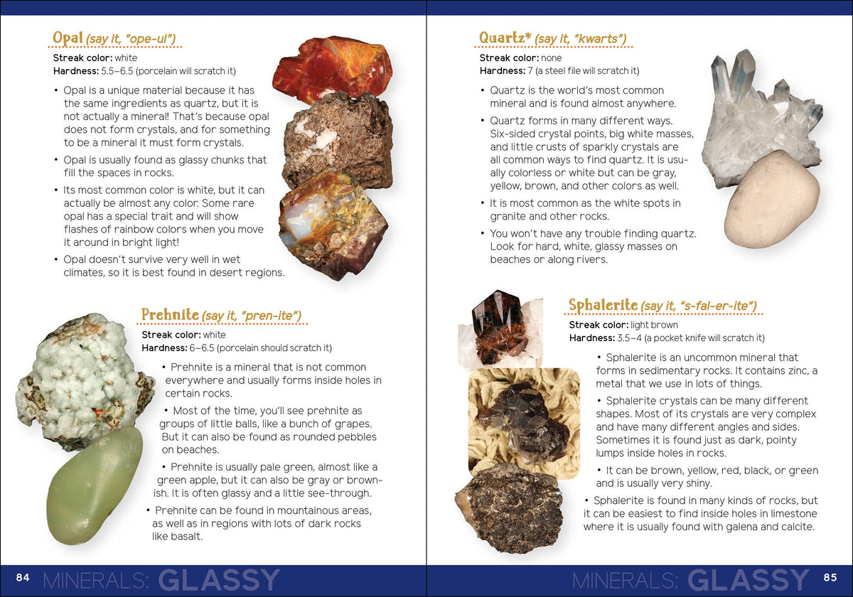 Rock Collecting for Kids