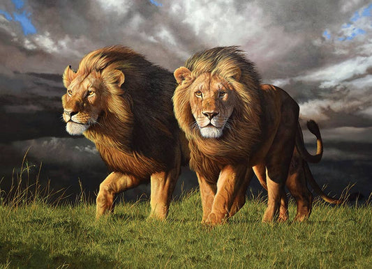 Approaching Storm 1000pc puzzle