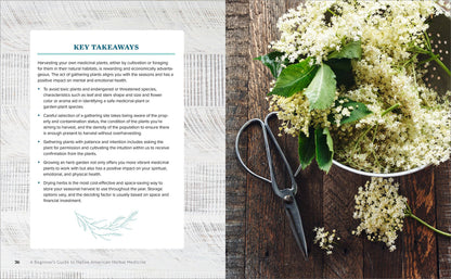 Beginner's Guide to Native American Herbal Medicine