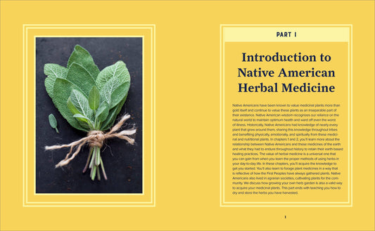 Beginner's Guide to Native American Herbal Medicine