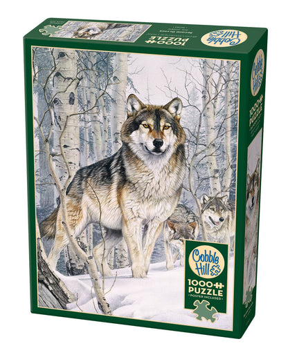 Second Glance 1000pc puzzle