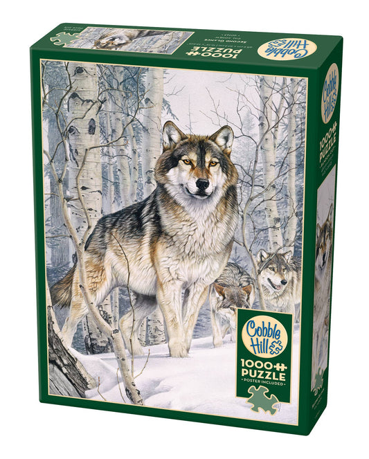 Second Glance 1000pc puzzle