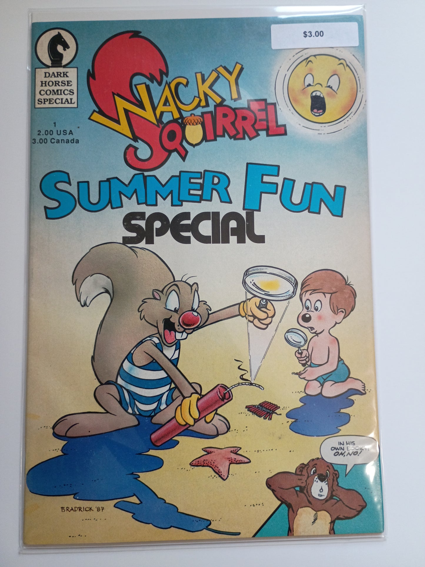 Wacky Squirrel: Summer Fun Special